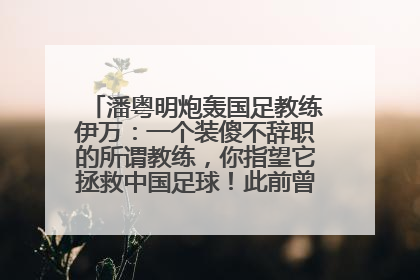 潘粤明炮轰国足教练伊万：一个装傻不辞职的所谓教练，你指望它拯救中国足球！此前曾多次发文评价国足