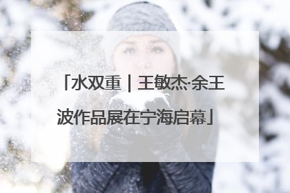 水双重｜王敏杰·余王波作品展在宁海启幕
