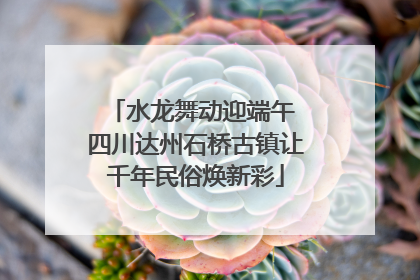 水龙舞动迎端午 四川达州石桥古镇让千年民俗焕新彩