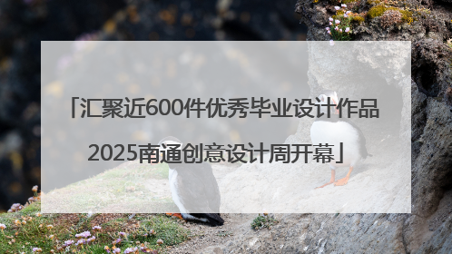 汇聚近600件优秀毕业设计作品 2025南通创意设计周开幕