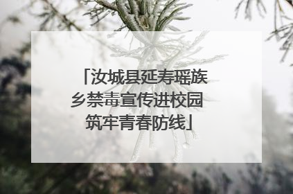 汝城县延寿瑶族乡禁毒宣传进校园 筑牢青春防线