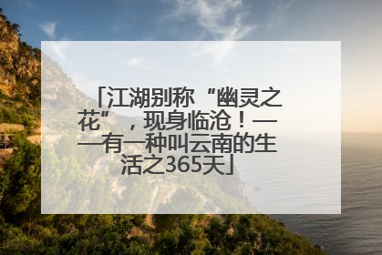 江湖别称“幽灵之花”，现身临沧！——有一种叫云南的生活之365天