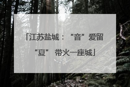 江苏盐城：“音”爱留“夏” 带火一座城