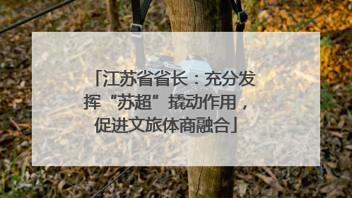 江苏省省长：充分发挥“苏超”撬动作用，促进文旅体商融合