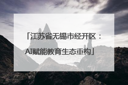 江苏省无锡市经开区：AI赋能教育生态重构