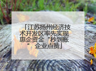 江苏扬州经济技术开发区率先实现惠企资金“秒到账” 企业点赞