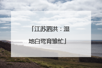 江苏泗洪：湿地白鹭育雏忙