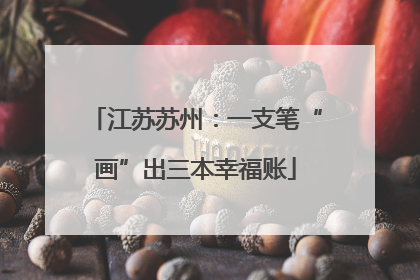 江苏苏州：一支笔“画”出三本幸福账