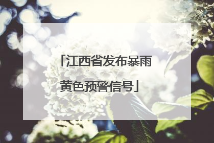 江西省发布暴雨黄色预警信号