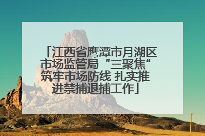 江西省鹰潭市月湖区市场监管局“三聚焦”筑牢市场防线 扎实推进禁捕退捕工作