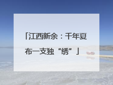 江西新余：千年夏布一支独“绣”