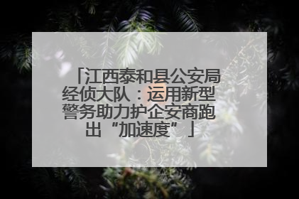 江西泰和县公安局经侦大队：运用新型警务助力护企安商跑出“加速度”