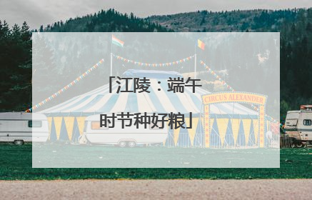 江陵：端午时节种好粮