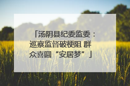 汤阴县纪委监委：巡察监督破梗阻 群众喜圆“安居梦”