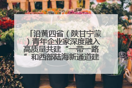 沿黄四省（陕甘宁蒙）青年企业家深度融入高质量共建“一带一路”和西部陆海新通道建设战略合作交流会在甘肃兰州召开