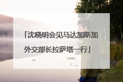 沈晓明会见马达加斯加外交部长拉萨塔一行