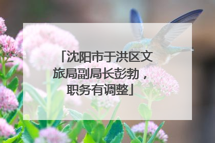 沈阳市于洪区文旅局副局长彭勃，职务有调整