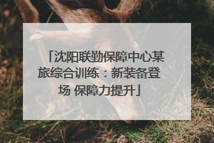 沈阳联勤保障中心某旅综合训练：新装备登场 保障力提升