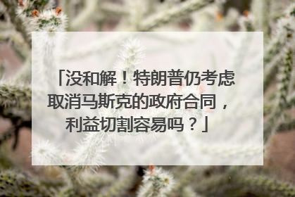 没和解！特朗普仍考虑取消马斯克的政府合同，利益切割容易吗？