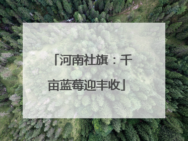 河南社旗：千亩蓝莓迎丰收