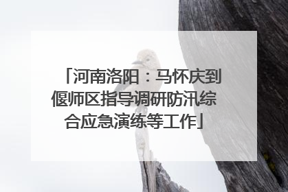 河南洛阳：马怀庆到偃师区指导调研防汛综合应急演练等工作