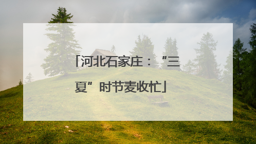 河北石家庄：“三夏”时节麦收忙