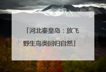 河北秦皇岛：放飞野生鸟类回归自然