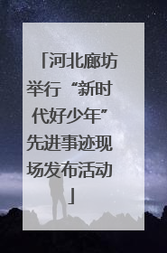 河北廊坊举行“新时代好少年”先进事迹现场发布活动