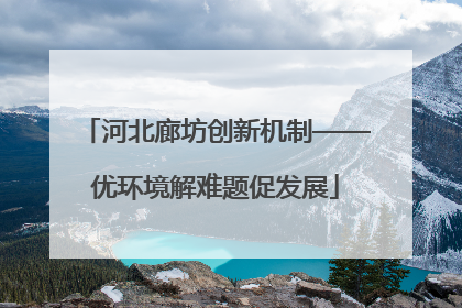 河北廊坊创新机制——优环境解难题促发展