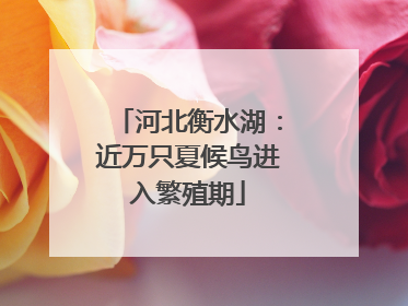 河北衡水湖：近万只夏候鸟进入繁殖期