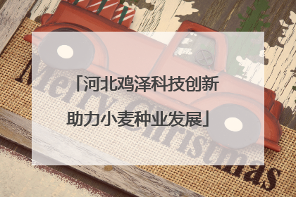河北鸡泽科技创新助力小麦种业发展