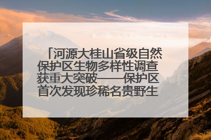河源大桂山省级自然保护区生物多样性调查获重大突破——保护区首次发现珍稀名贵野生干巴菌与钝尾两头蛇