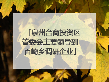 泉州台商投资区管委会主要领导到百崎乡调研企业