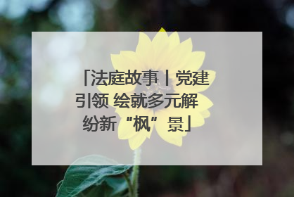 法庭故事丨党建引领 绘就多元解纷新“枫”景