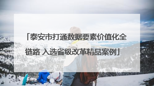 泰安市打通数据要素价值化全链路 入选省级改革精品案例