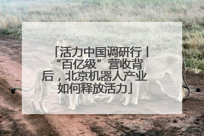 活力中国调研行丨 “百亿级”营收背后，北京机器人产业如何释放活力