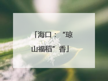 海口：“琼山福稻”香