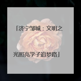 济宁邹城：文明之光照亮学子追梦路