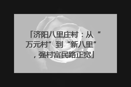 济阳八里庄村：从“万元村”到“新八里”，强村富民路正宽