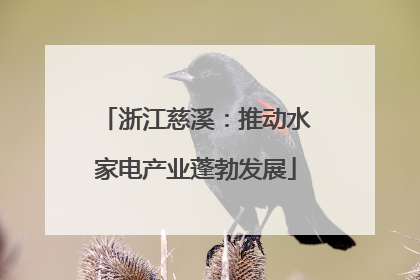 浙江慈溪：推动水家电产业蓬勃发展