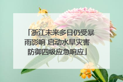 浙江未来多日仍受暴雨影响 启动水旱灾害防御四级应急响应