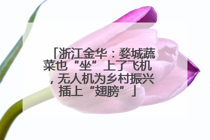 浙江金华：婺城蔬菜也“坐”上了飞机，无人机为乡村振兴插上“翅膀”