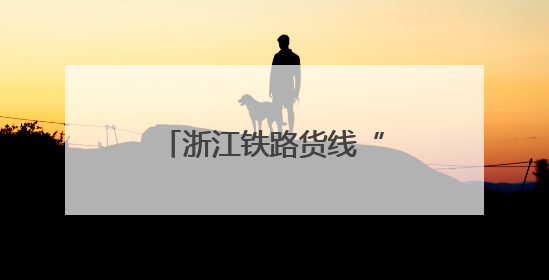 浙江铁路货线“守门人”：毫米之精与万日之安