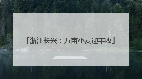 浙江长兴：万亩小麦迎丰收