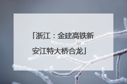 浙江：金建高铁新安江特大桥合龙