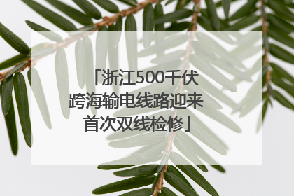 浙江500千伏跨海输电线路迎来首次双线检修