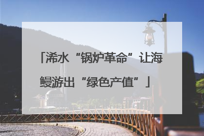 浠水“锅炉革命”让海鳗游出“绿色产值”