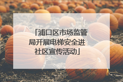 浦口区市场监管局开展电梯安全进社区宣传活动