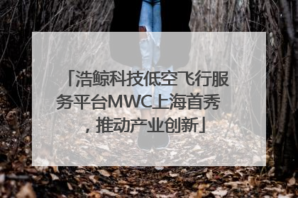 浩鲸科技低空飞行服务平台MWC上海首秀，推动产业创新