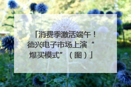 消费季激活端午！德兴电子市场上演“爆买模式”（图）